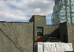 IMG_4591.JPG