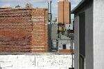 IMG_4595.JPG