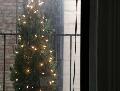 window_021212.jpg