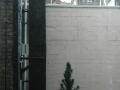 window_021217.jpg