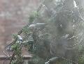 window_021218.jpg