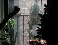 window_021219.jpg