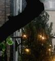 window_021220.jpg