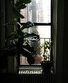 window_021221.jpg