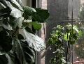 window_021222.jpg