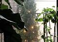 window_021223.jpg
