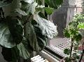 window_021224.jpg