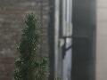 window_021228.jpg