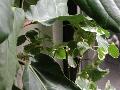 window_021231.jpg
