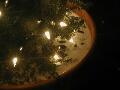 window_030108.jpg