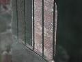 window_030109.jpg