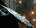 window_030110.jpg