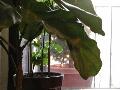 window_030113.jpg