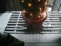 window_030117.jpg