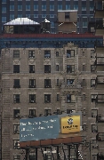 CRW_4806.png